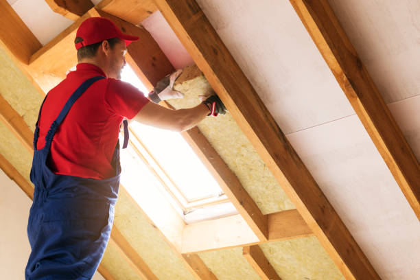 Professional Foam Insulation Services in Cibolo, TX